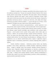 Darbų organizavimas: kelio tiesimas 3 puslapis