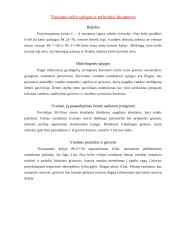 Darbų organizavimas: kelio tiesimas 4 puslapis