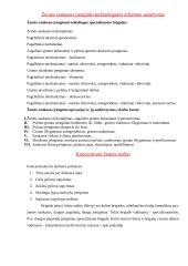 Darbų organizavimas: kelio tiesimas 10 puslapis