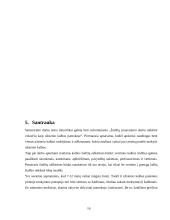 Die Bedeutung der Wortschatzarbeit in der Primarstufe im DaF-Unterricht-handlungsorientierter Unterricht 16 puslapis