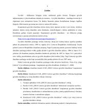 Draudimo įmonės UAB "ERGO Lietuva gyvybės draudimas" kaupiamasis gyvybės draudimas 2 puslapis