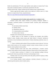 Draudimo įmonės UAB "ERGO Lietuva gyvybės draudimas" kaupiamasis gyvybės draudimas 9 puslapis