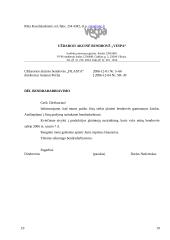 Įmonės charakteristika ir veiklos dokumentai: žaislų gamyba UAB "Vespa" 19 puslapis