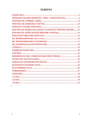 Įmonės charakteristika ir veiklos dokumentai: žaislų gamyba UAB "Vespa" 3 puslapis