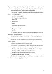 Lietuvos eksportas ir importas 17 puslapis