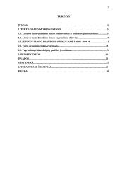 Lietuvos turto draudimo rinkos raida ir jos perspektyvos 2 puslapis