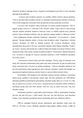 Lietuvos turto draudimo rinkos raida ir jos perspektyvos 17 puslapis