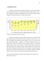 Lietuvos turto draudimo rinkos raida ir jos perspektyvos 19 puslapis