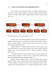 Lietuvos turto draudimo rinkos raida ir jos perspektyvos 7 puslapis