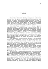 Masinių komunikacijų ekonomika 3 puslapis