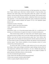 Pajamų nelygybė, veiksniai ir tendencijos Lietuvoje 2 puslapis