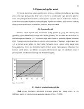 Pajamų nelygybė, veiksniai ir tendencijos Lietuvoje 12 puslapis