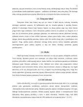 Pajamų nelygybė, veiksniai ir tendencijos Lietuvoje 10 puslapis