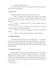 Pinigai Lietuvoje 6 puslapis