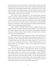 Pinigai Lietuvoje 10 puslapis