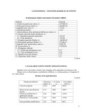 Sąnaudų ir ekonominių rodiklių įvertinimas: prancūzų virtuvės restoranas "Dejeuner" 6 puslapis