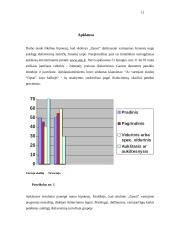 Skolinio "čipsai" vartosena dabartinėje lietuvių kalboje 11 puslapis