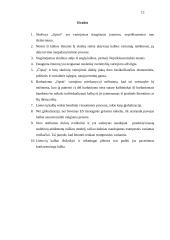 Skolinio "čipsai" vartosena dabartinėje lietuvių kalboje 13 puslapis