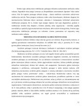 Socialinių paslaugų teikimas neįgaliems vaikams 14 puslapis