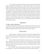 Socialinių paslaugų teikimas neįgaliems vaikams 15 puslapis