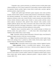 Socialinių paslaugų teikimas neįgaliems vaikams 16 puslapis