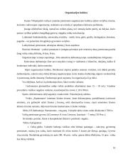 Socialinių paslaugų teikimas neįgaliems vaikams 17 puslapis