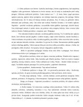 Socialinių paslaugų teikimas neįgaliems vaikams 18 puslapis