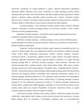 Socialinių paslaugų teikimas neįgaliems vaikams 20 puslapis