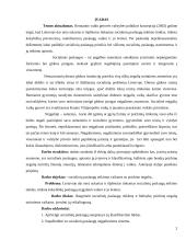 Socialinių paslaugų teikimas neįgaliems vaikams 3 puslapis