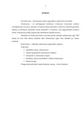 Urbanizacijos pagrindiniai aspektai 2 puslapis