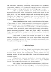 Urbanizacijos pagrindiniai aspektai 7 puslapis