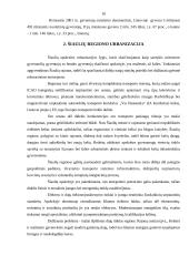 Urbanizacijos pagrindiniai aspektai 9 puslapis