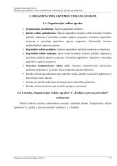 Veiklos modeliavimas ir informacinių poreikių specifikavimas: Šakynos pagrindinė Mokykla 11 puslapis