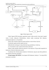Veiklos modeliavimas ir informacinių poreikių specifikavimas: Šakynos pagrindinė Mokykla 16 puslapis