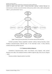 Veiklos modeliavimas ir informacinių poreikių specifikavimas: Šakynos pagrindinė Mokykla 18 puslapis