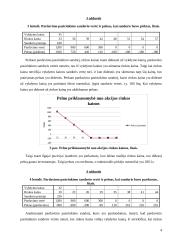 Pirkimo ir pardavimo pasirinkimo sandorių pelningumo tyrimas 4 puslapis