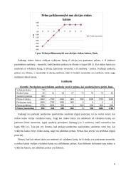 Pirkimo ir pardavimo pasirinkimo sandorių pelningumo tyrimas 6 puslapis