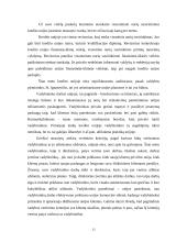 Pažintinės praktikos analizė: Pirmoji lenkų kredito unija 13 puslapis