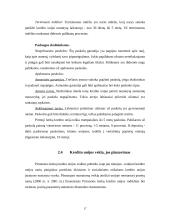 Pažintinės praktikos analizė: Pirmoji lenkų kredito unija 17 puslapis