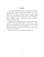 Pažintinės praktikos analizė: Pirmoji lenkų kredito unija 19 puslapis