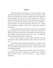 Pažintinės praktikos analizė: Pirmoji lenkų kredito unija 3 puslapis