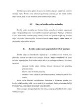 Pažintinės praktikos analizė: Pirmoji lenkų kredito unija 6 puslapis