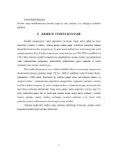 Pažintinės praktikos analizė: Pirmoji lenkų kredito unija 8 puslapis