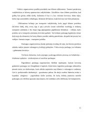 Pažintinės praktikos ataskaita: logistikos ir transporto paslaugos UAB "Magnus Logistics" 11 puslapis