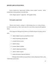 Pažintinės praktikos ataskaita: logistikos ir transporto paslaugos UAB "Magnus Logistics" 13 puslapis