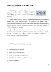 Pažintinės praktikos ataskaita: logistikos ir transporto paslaugos UAB "Magnus Logistics" 4 puslapis