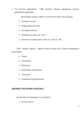 Pažintinės praktikos ataskaita: logistikos ir transporto paslaugos UAB "Magnus Logistics" 5 puslapis