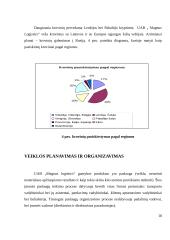 Pažintinės praktikos ataskaita: logistikos ir transporto paslaugos UAB "Magnus Logistics" 10 puslapis