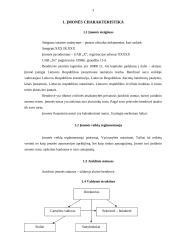 Praktikos ataskaita: statybos įmonė 3 puslapis