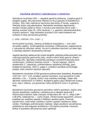 Kaučiuko savybės 2 puslapis